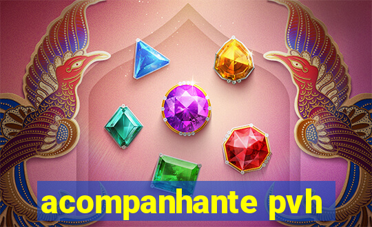 acompanhante pvh